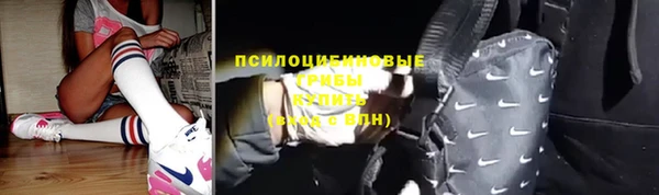 соль ск Горняк