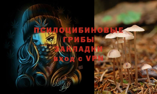 мдма Горнозаводск