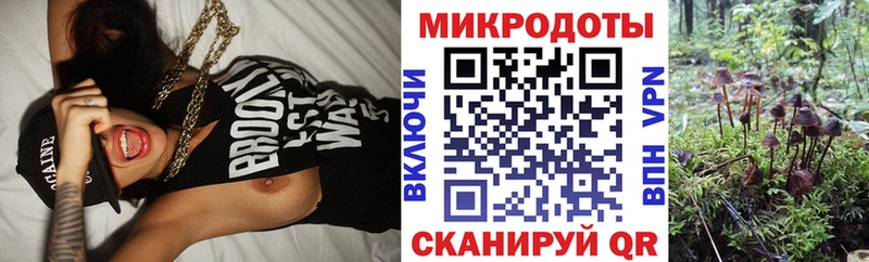 Псилоцибиновые грибы ЛСД  omg как зайти  Десногорск 