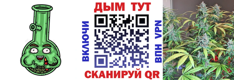 Канабис сатива  Десногорск 